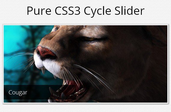 A Pure CSS3 Cycling Slideshow Effect