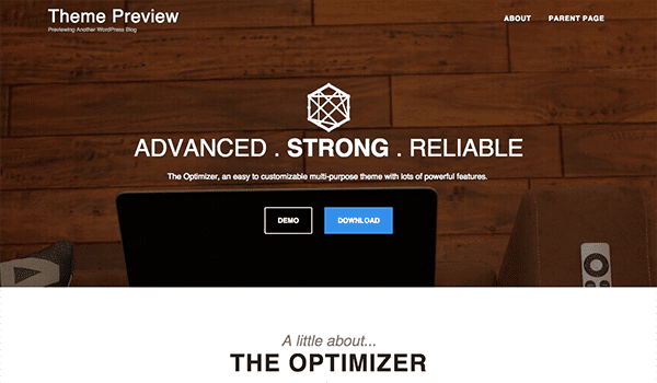 Optimizer wordpress theme